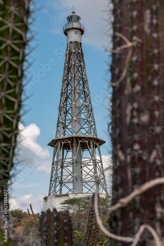 Historic Iron Lighthouse at Cabo San Román Framed by Desert Cactus