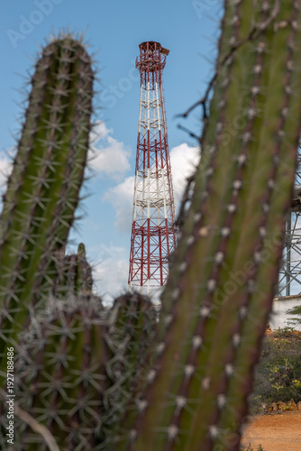 Red and White Navigation Tower Tilted View Framed by Desert Cactus