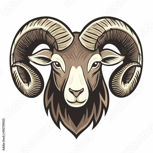 Illustration of a ram head with horns 1.
