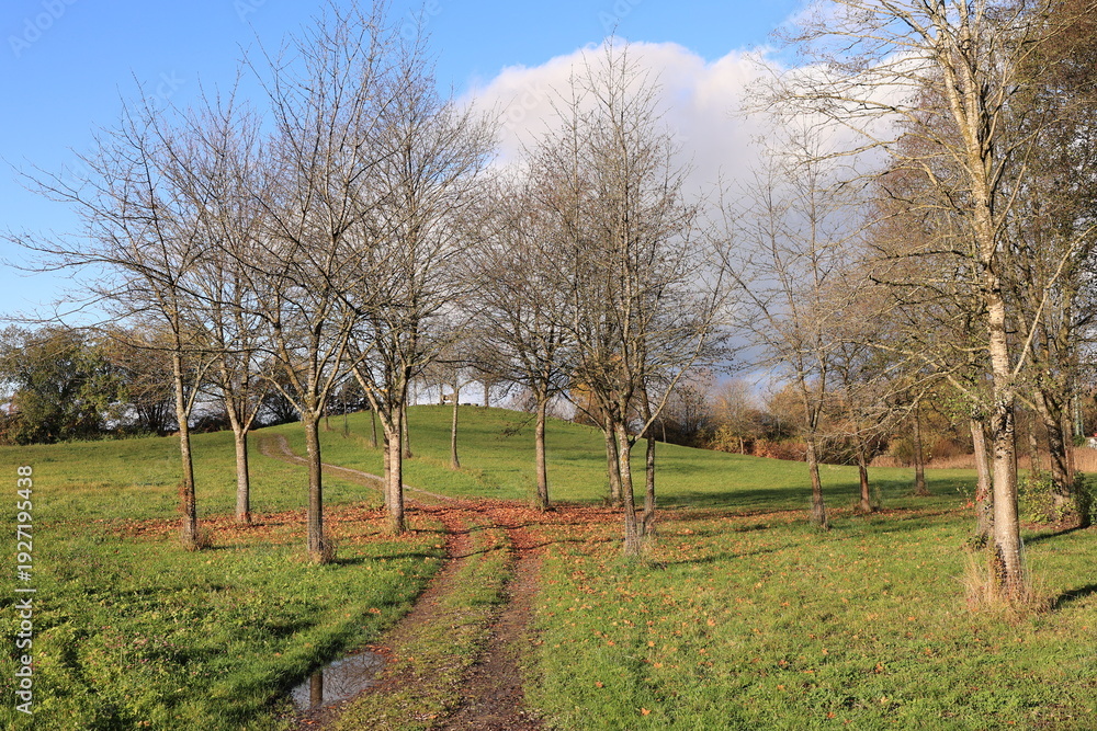 Obraz premium Sonniger Herbsttag in Bad Dürrheim 