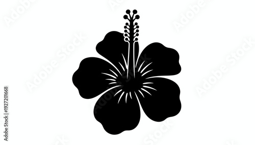 Hibiscus flower silhouette vector design, tropical floral icon, five petal blossom, decorative botanical art, exotic bloom illustration, cultural nature motif, elegant black outline vector artwork
