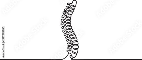 Curvature of the human spine. Scoliosis. One line drawing for different uses. one line art icon drawing vector