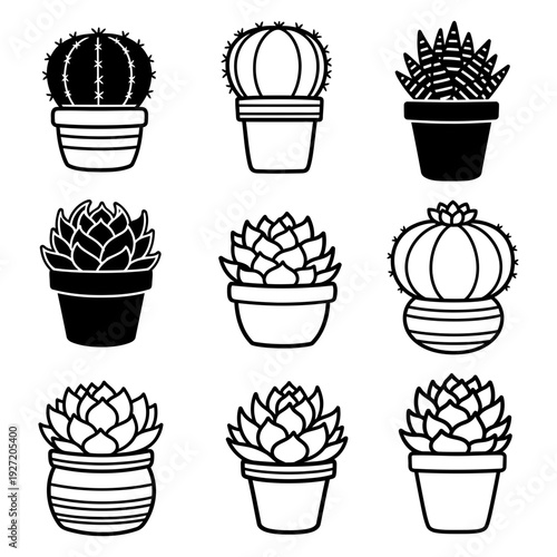 vector set of plant in pot