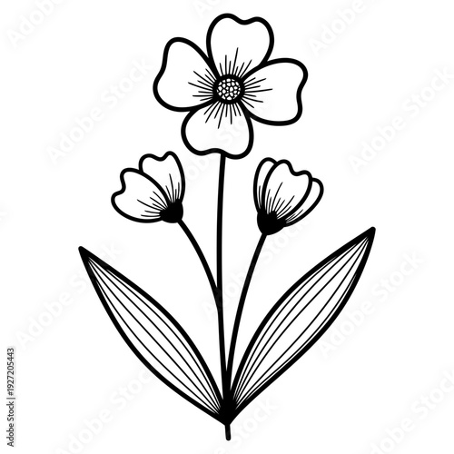 vector illustration of a flower