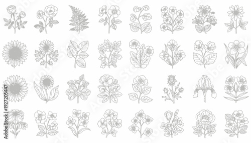 Botanical Vector Illustration Grid | Black and White Floral Sketches | Decorative Plant Line Art | Stylized Flower Designs | Educational Vector Artwork for Botanical Studies
