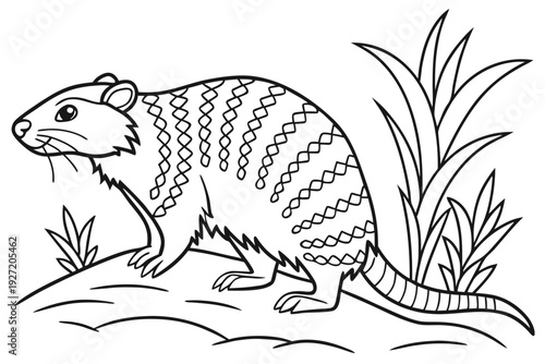 "Cute Armadillo in the Grass: Creative Patterned Animal Coloring Page"