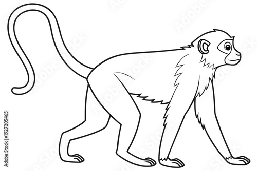 "Long-Tailed Monkey Walking: Simple Wildlife Coloring Page for Kids"