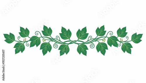 Decorative Vine Vector Illustration | Green Leaf Border Design | Botanical Tendrils Artwork | Elegant Nature Pattern | Symmetrical Vector Ornament for Invitations and Graphic Design
