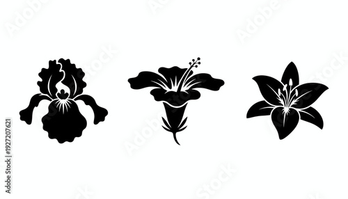 Elegant flower silhouette vector illustration featuring iris, hibiscus, and lily designs, black botanical artwork, decorative floral composition, artistic nature graphic, modern minimalist plant vecto