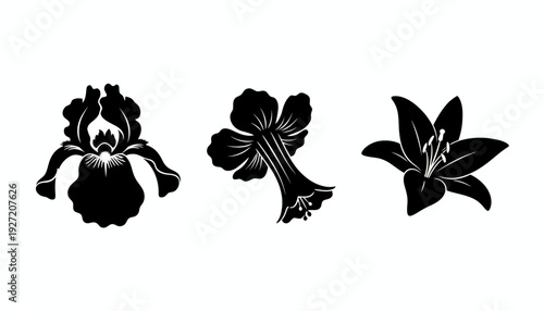 Elegant flower silhouette vector illustration featuring iris, hibiscus, and lily designs, black botanical artwork, decorative floral composition, artistic nature graphic, modern minimalist plant vecto