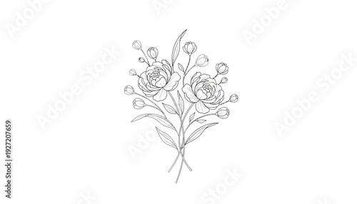 Delicate blooming flowers vector illustration with pencil sketch detail, crossed stems, leaves, buds, natural symmetry, artistic botanical drawing, fine line floral artwork, elegant vector composition