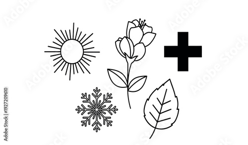 Black and white illustration of sun, rose, leaf, snowflake, and plus sign
