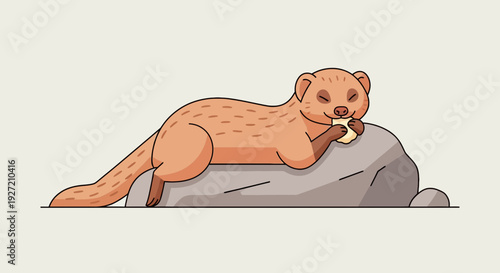 Cartoon mongoose eating on a rock vector illustration; adorable animal character enjoying snack time in cute simple flat style