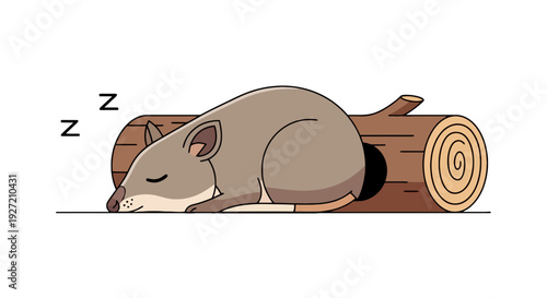 Cartoon sleeping marsupial resting in hollow log illustration; vector flat art of cute quoll napping peacefully isolated on white backdrop