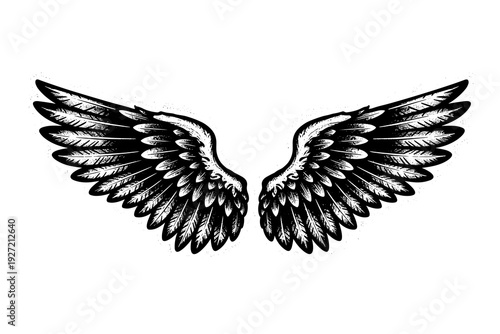 Detailed black and white angel wings with intricate feather patterns