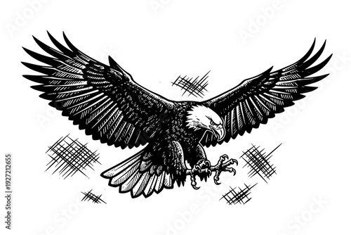 Detailed black and white eagle with outstretched wings in dynamic flight