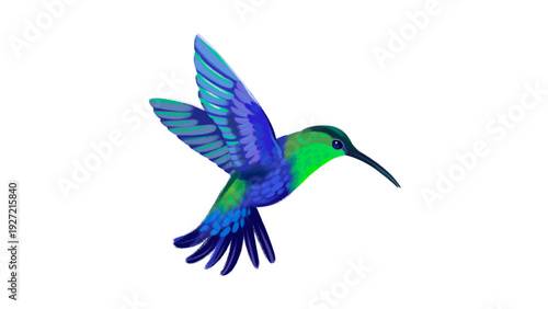 Flying Hummingbird Illustration with Vibrant Blue and Green Plumage Isolated on White Background