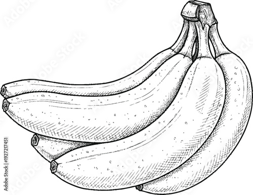 Bunch of white bananas with black outlines and shading black and white fruit