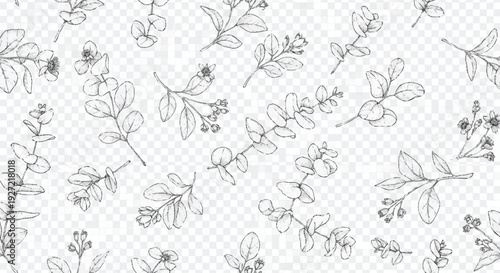 Black and white floral botanical on transparent background leaves flowers