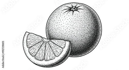 Black and white of a whole and sliced citrus fruit whole fruit sliced fruit lemon