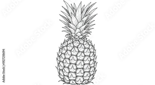 Black and white of a whole pineapple fruit monochrome tropical