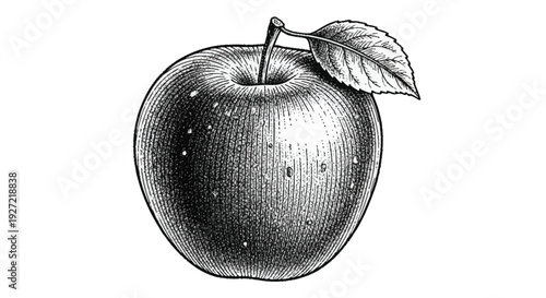 Black and white of an apple with a leaf fruit monochrome 1
