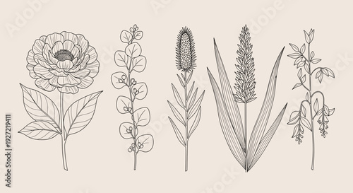 Minimalist Botanical Line Art Set – Vintage Hand-Drawn Wildflower Collection