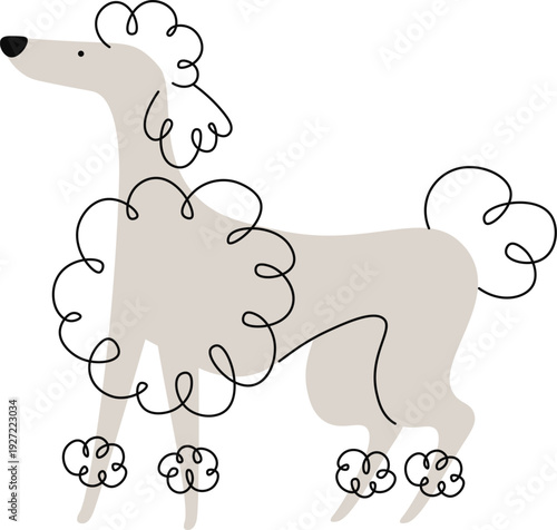 Lovely dog doodle. Cute poodle color drawing