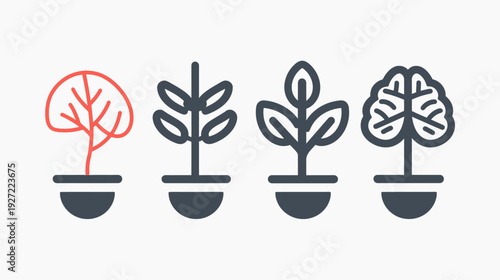 Four stylized plant illustrations representing growth in varying forms, from stem to brain