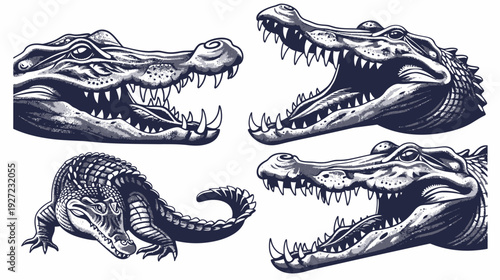 Four grayscale illustrations of alligators and crocodile heads, with open jaws and one full body