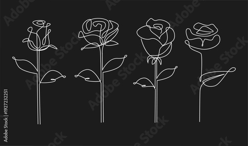 Four Minimalist Continuous Line Art Roses, Single Line Drawing Flowers on Black Background
