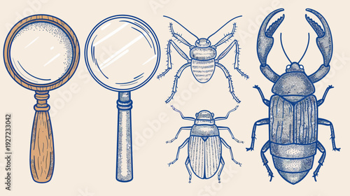 Illustration of magnifying glasses and various insects in a vintage, hand-drawn style