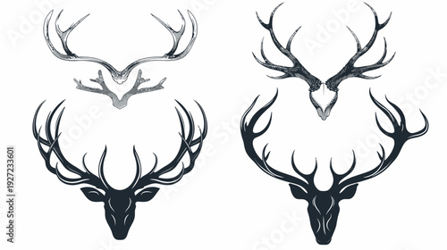 Stylized depictions of deer antlers in dark and grey tones on white background