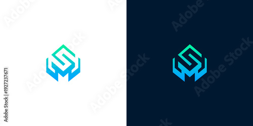 Contemporary hexagonal lettermark icon embodying the initials S and M, utilizing a refreshing gradient color scheme for a strong and memorable brand presence in modern design