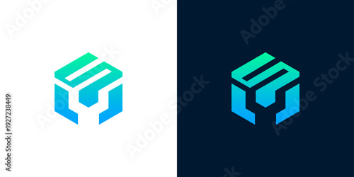 Abstract hexagon logo with geometric letter S in a modern gradient design