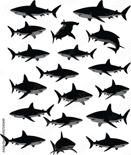 Shark silhouette set illustration, different shark species swimming in various poses isolated on white background, marine wildlife vector collection design