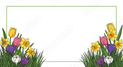 Colorful spring flowers border with tulips daffodils and crocuses