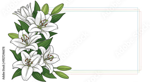 Beautiful white lily flowers with green leaves