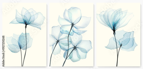 Floral cards with transparent flowers in a watercolor style. A botanical set for decor, wallpaper, textiles, prints, posters, and interior design.