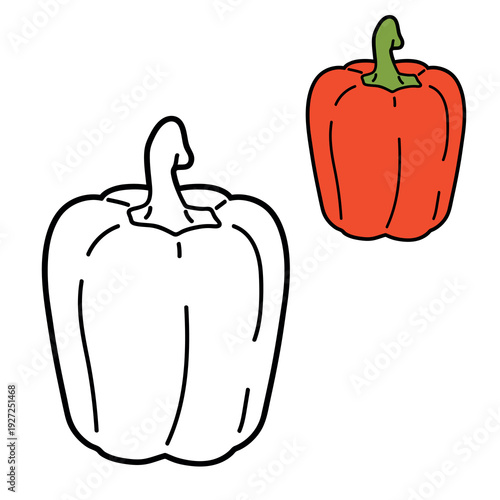 red whole bell pepper , shown as coloured and black outline versions. Coloring and colouring page style vector illustration isolated on light background.