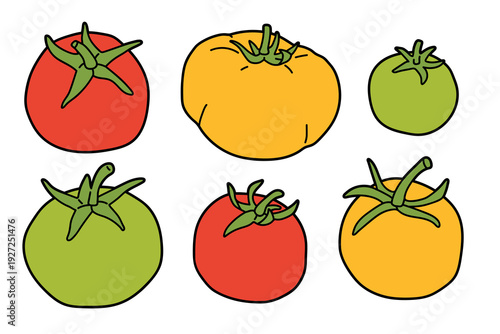 Set of cartoon colorful tomatos in different views, flat illustration. Hand drawn whole , isolated on white background for menu or food design.