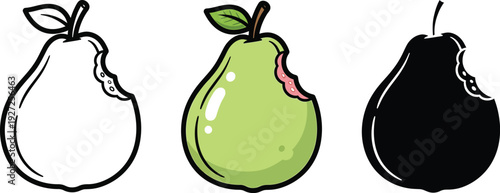 Guava fruit varieties and colors illustration