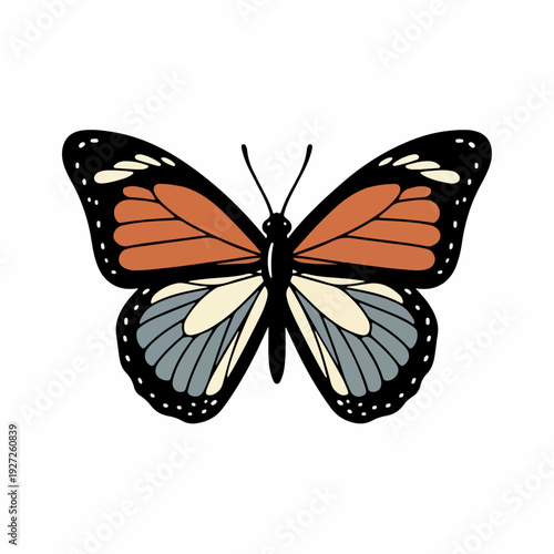 Flat Artistic Butterfly with Detailed Wing Pattern Insect Illustration