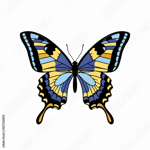 Detailed Flat Illustration Butterfly with Colorful Wings Insect Animal