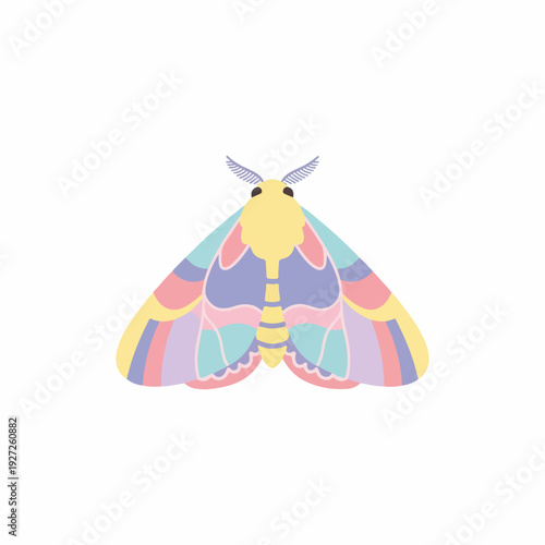 Flat Style Detailed Colorful Moth Illustration Spring Insect Graphic Element