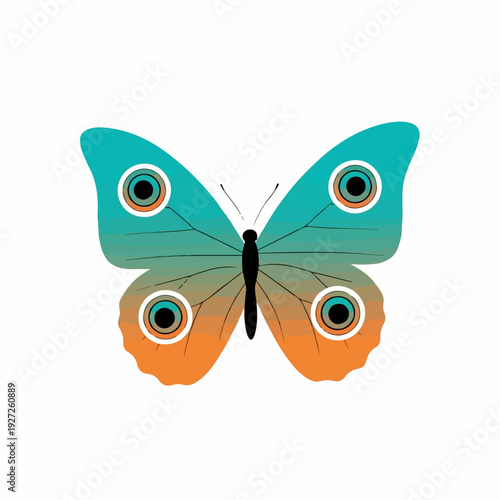 Textured Colorful Butterfly Insect With Spotted Wing Nature Illustration