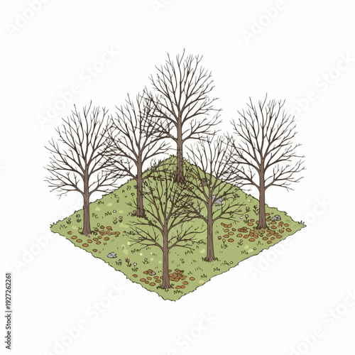 Detailed Colored Isometric Trees Group Bare Branch Landscape Illustration