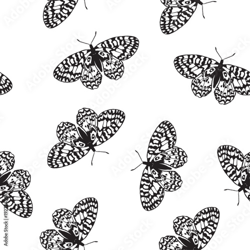 Картината върху платно Intricate black and white butterfly seamless pattern in detailed engraved hand drawn style