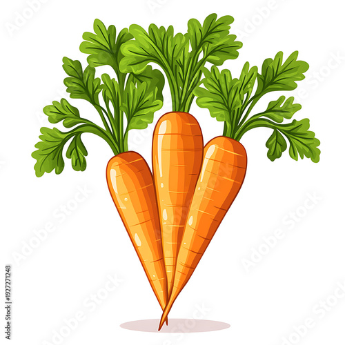 Fresh Carrots from Organic Garden Icon