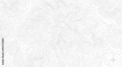Clean Topographic Map Background with White and Grey Contour Lines, Geographic Data and Abstract Design
